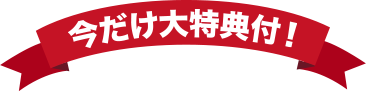 今だけ大特典付！