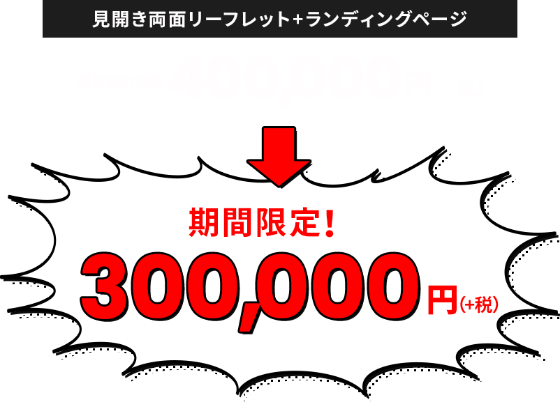 見開き両面リーフレット+ランディングページ 通常提供価格300,000円（+税）→モニター様限定！半額の150,000円（+税）